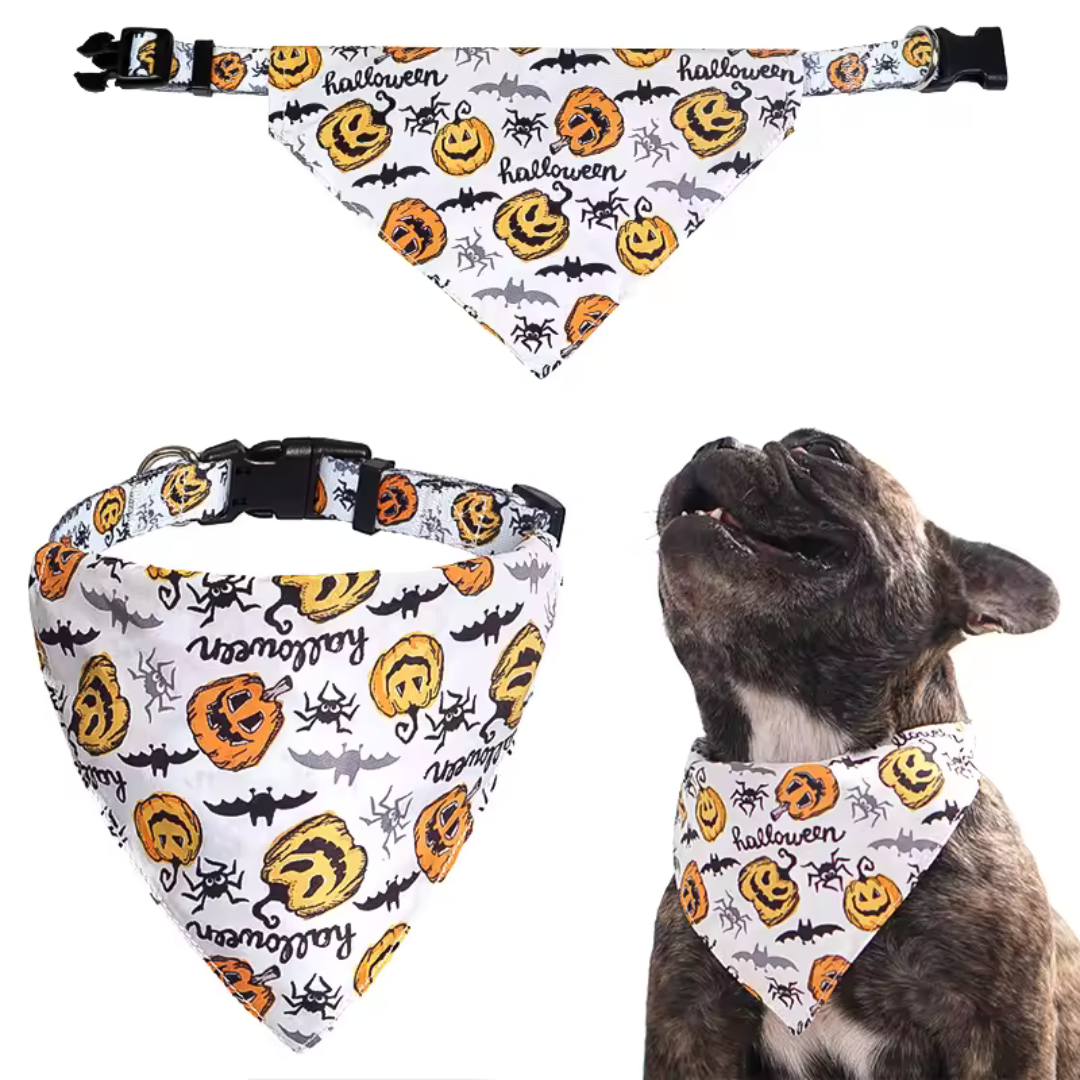 Your Buddy Bandana